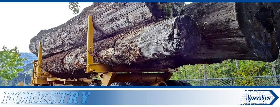 Forestry - SpecSys, Inc - Photo fo Logs placed on a Forwarder